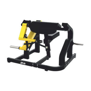 lower back workout machine (copy)