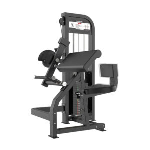 abdomen lower back (copy)