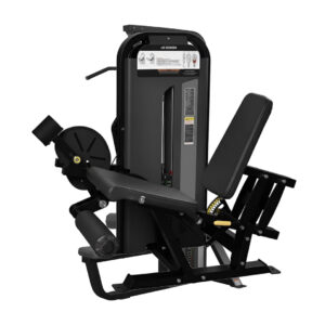 prone leg curl (copy)