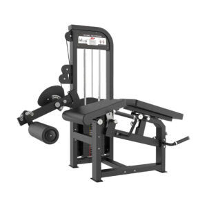 leg extension (copy)