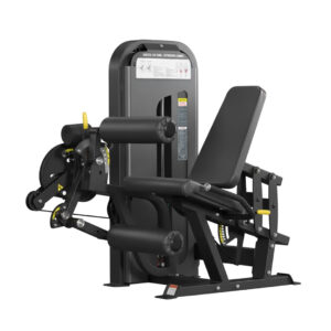 leg extension (copy)