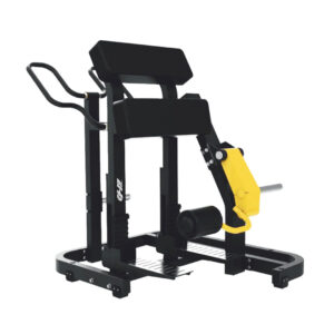 seated leg extension (copy)